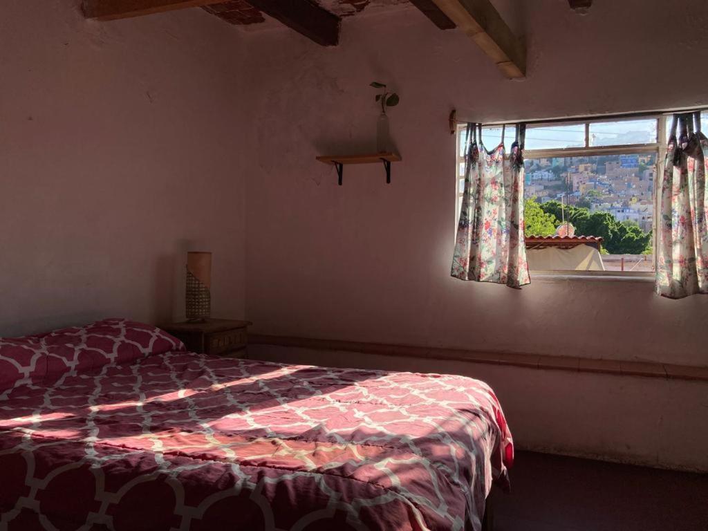 Hostalito Casa Alebrije Гуанахуато Екстер'єр фото