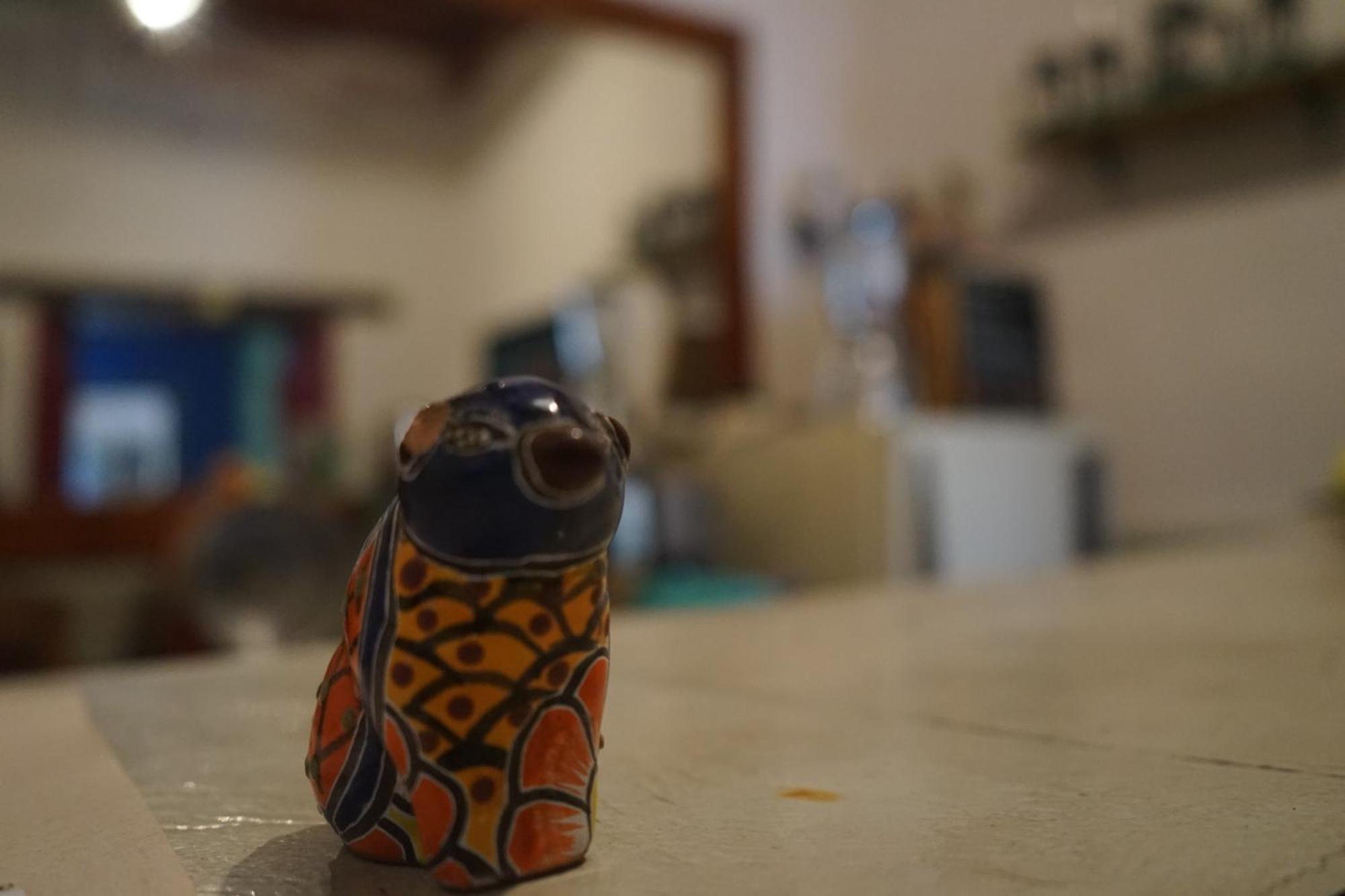 Hostalito Casa Alebrije Гуанахуато Екстер'єр фото